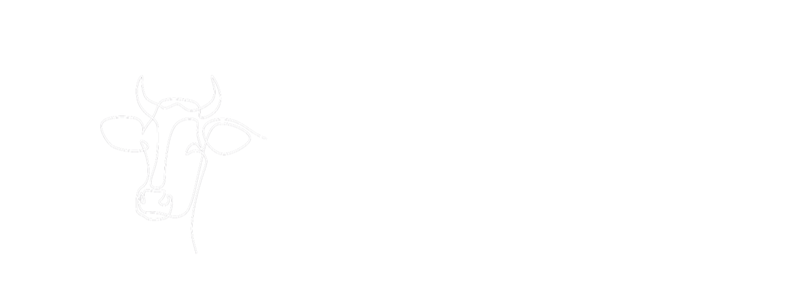 Tierkommunikation Meike Böhm