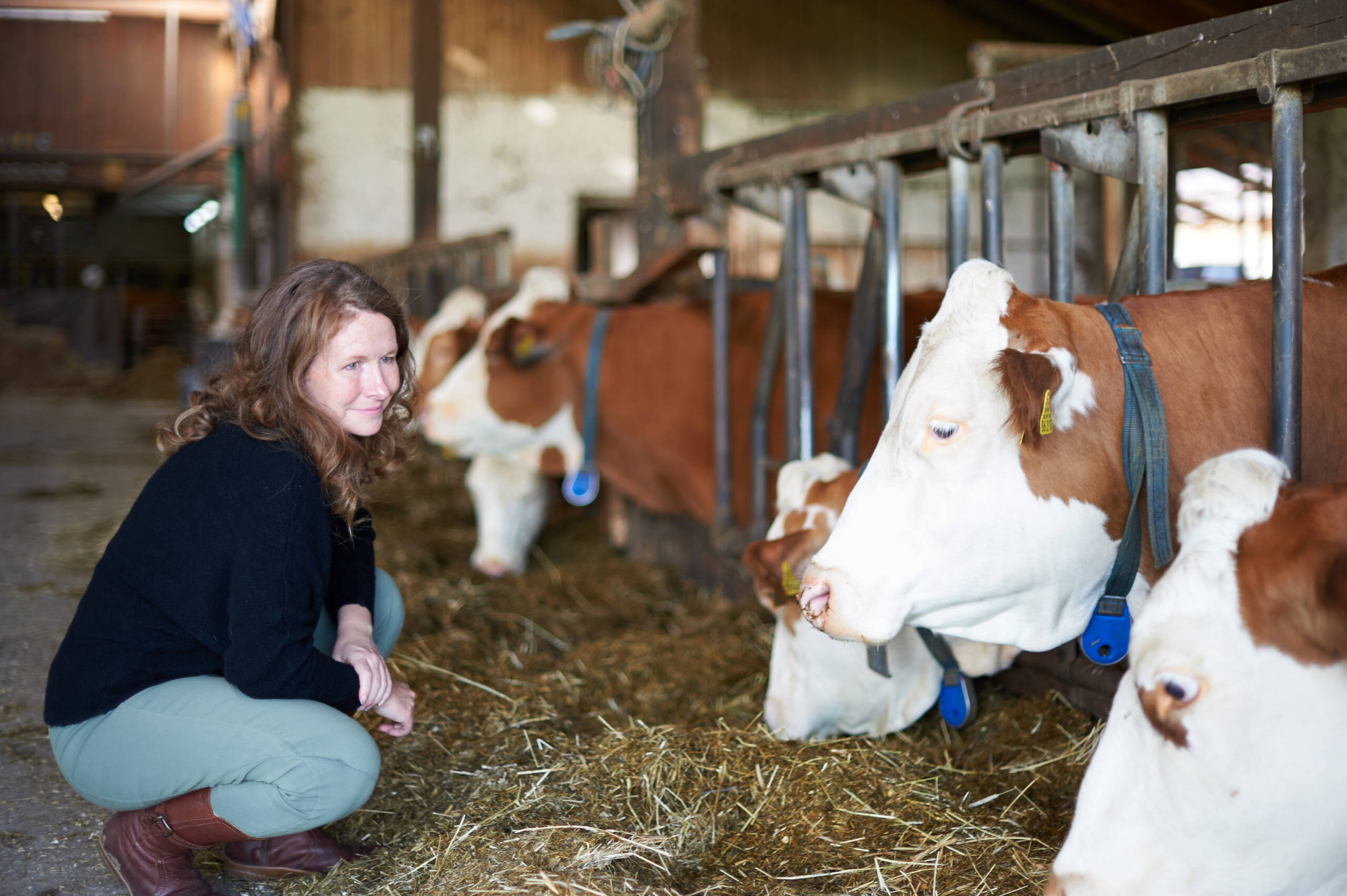 Stimmungsübertragung trennen können