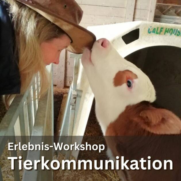 Erlebnis-Workshop: Tierkommunikation 24. und 25. Juni 2023