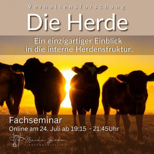 Die Herde, Kurzworkshop online