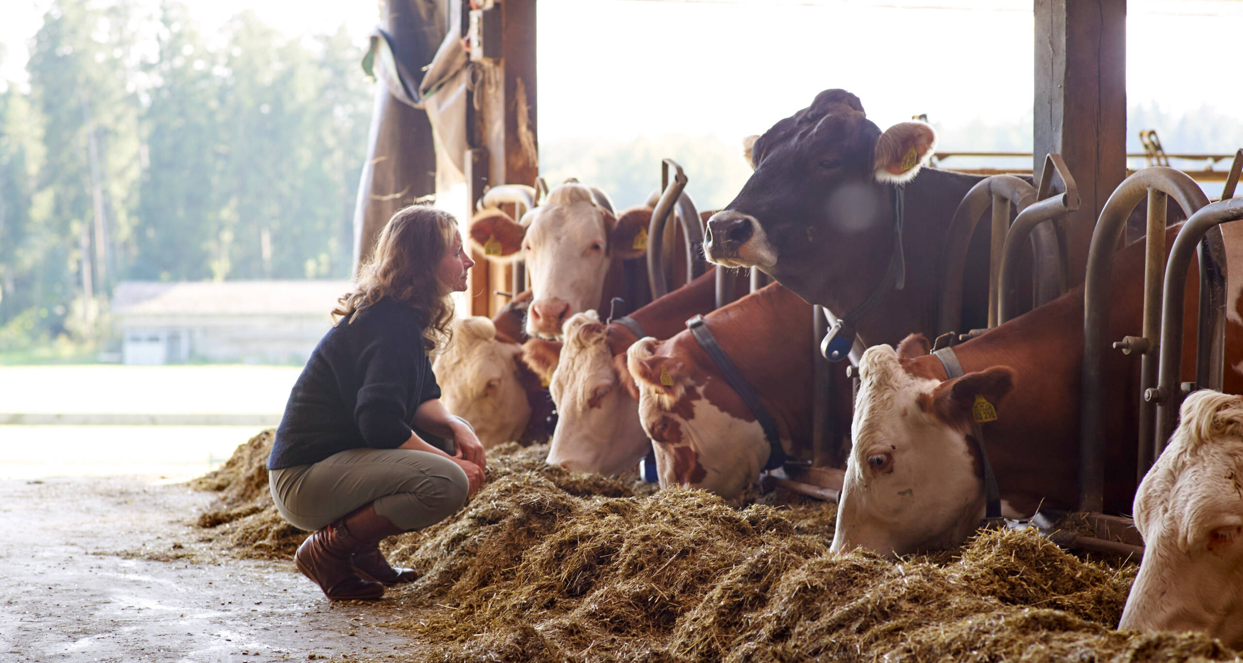 Ursachenfindung von Veränderungen (gesundheitlich o. im Verhalten)