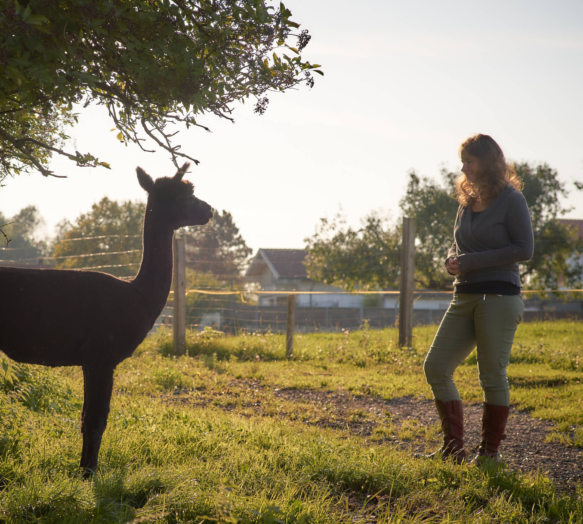 Vertrauen zum Tier aufbauen